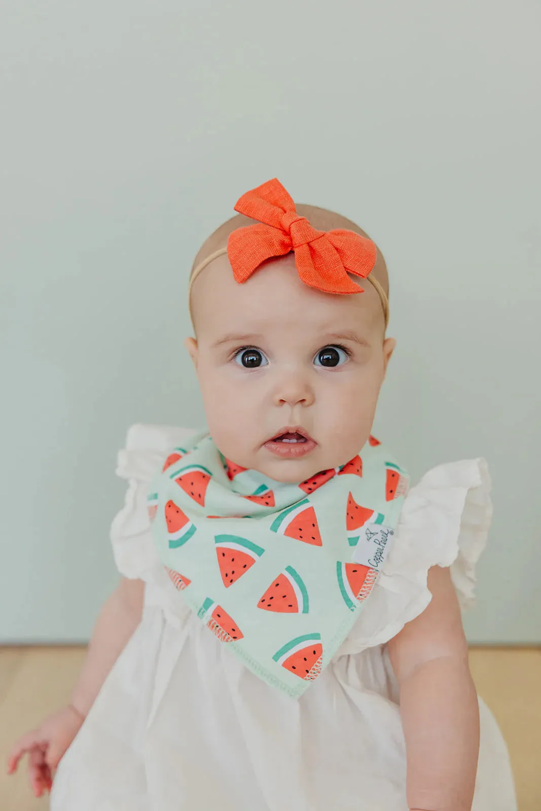 Baby Bandana Bibs - Clementine