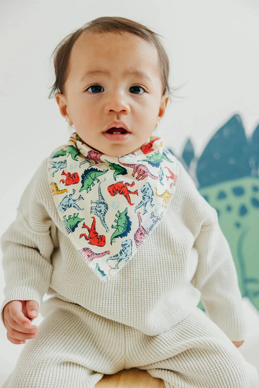 Baby Bandana Bibs - Jurassic Park