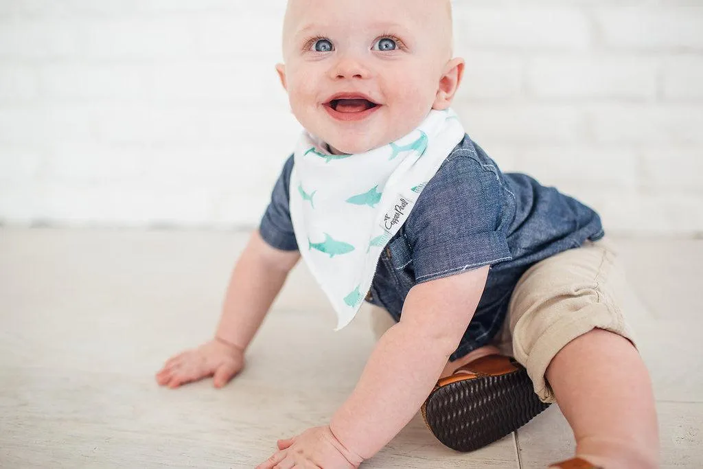 Baby Bandana Bibs - Pacific