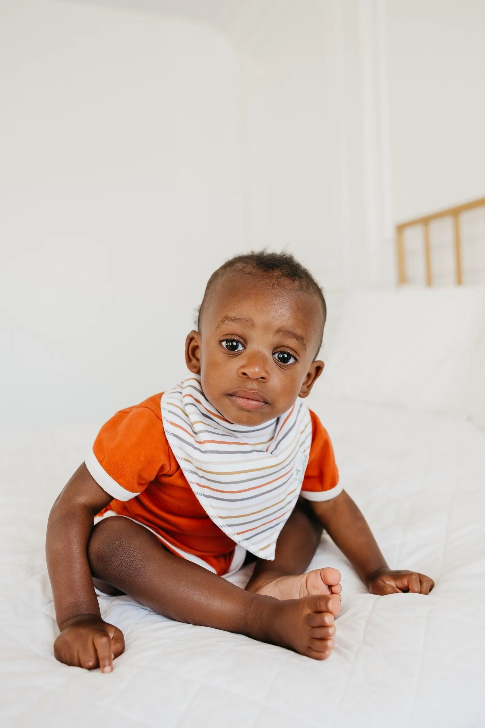 Baby Bandana Bibs - Swift