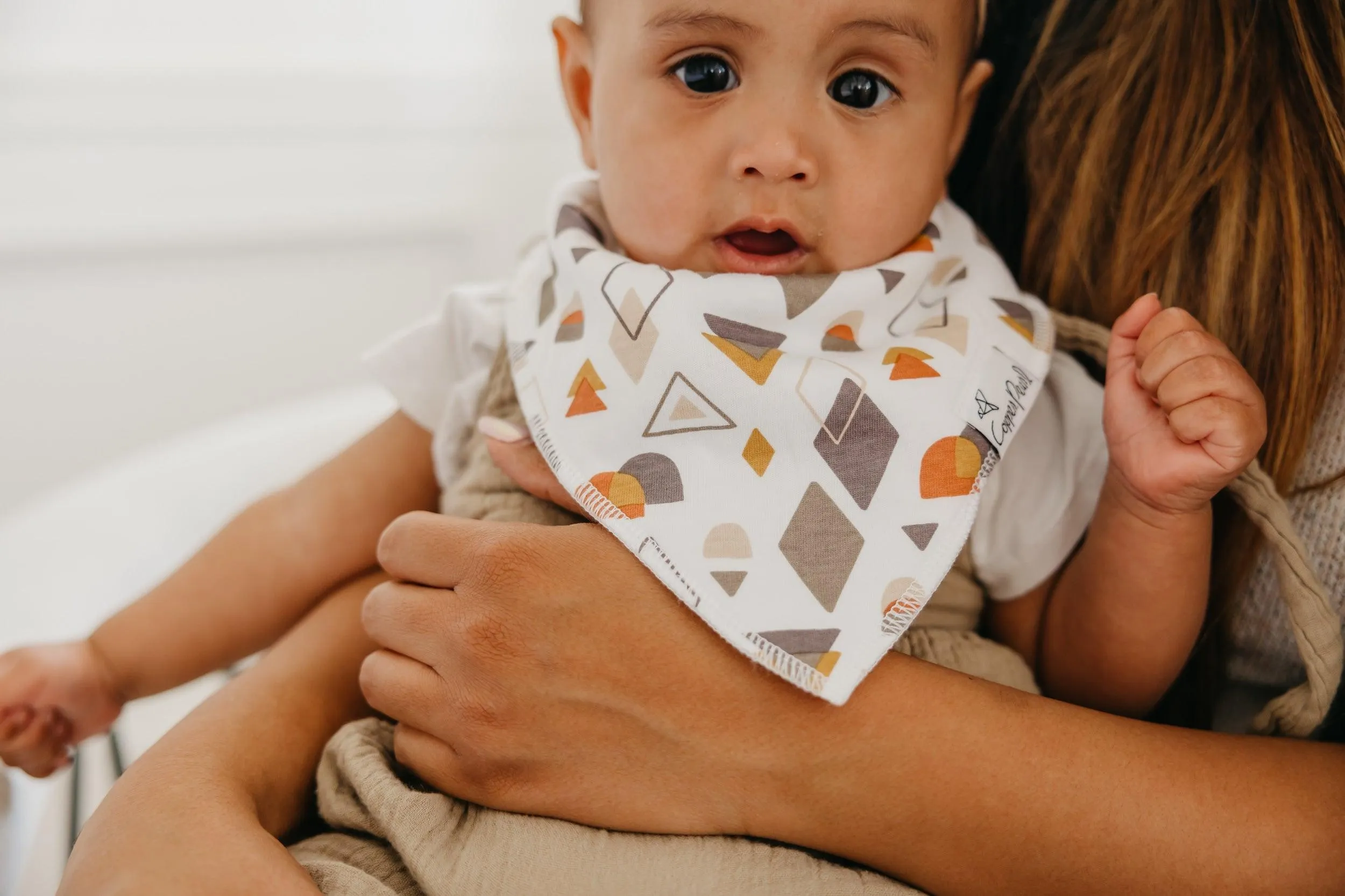 Baby Bandana Bibs - Swift