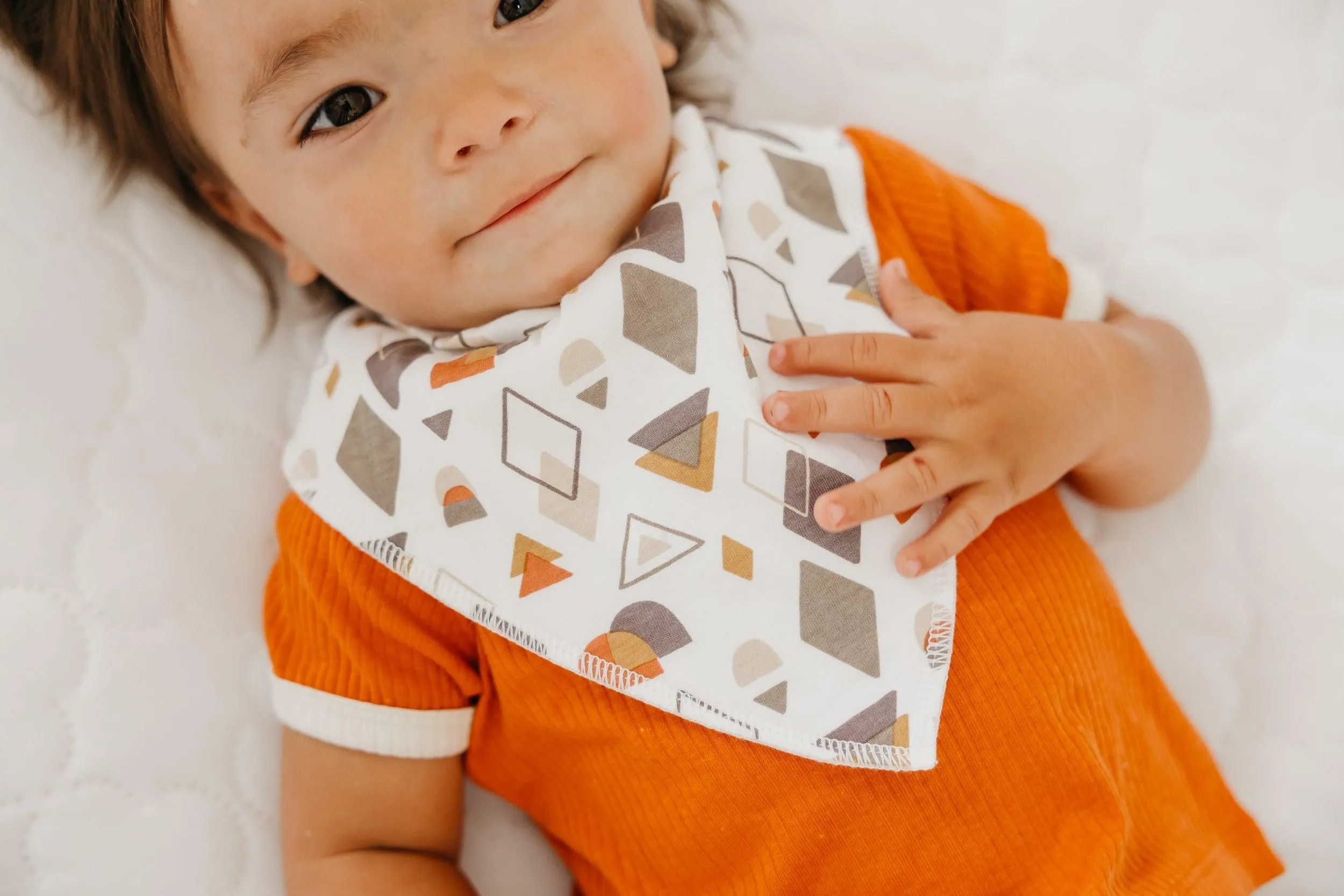 Baby Bandana Bibs - Swift